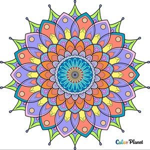 Meet your Posher, Dolly